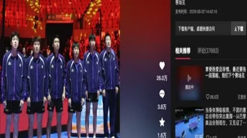 巅峰国际娱乐 163731